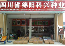 四川省綿陽(yáng)科興種業(yè)有限公司